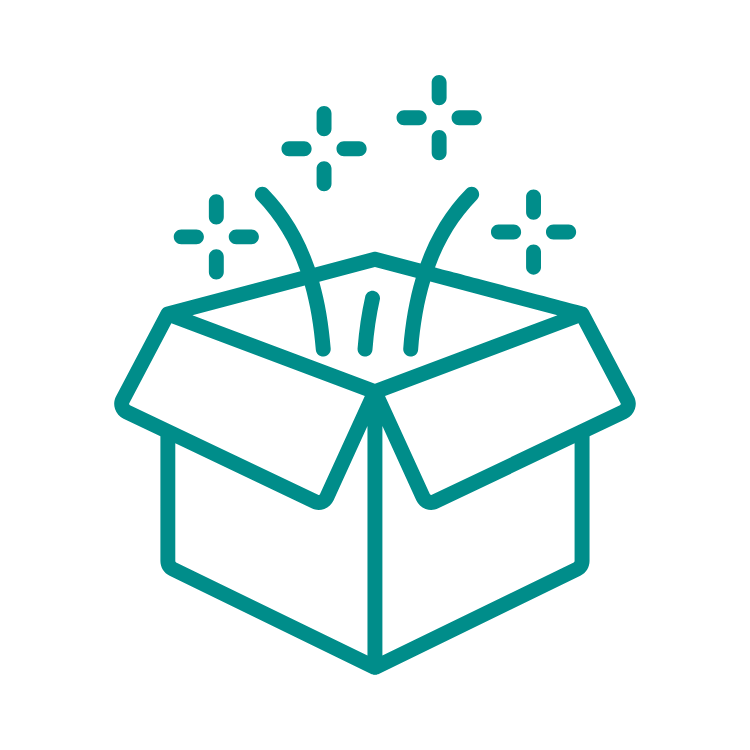 surprise box icon