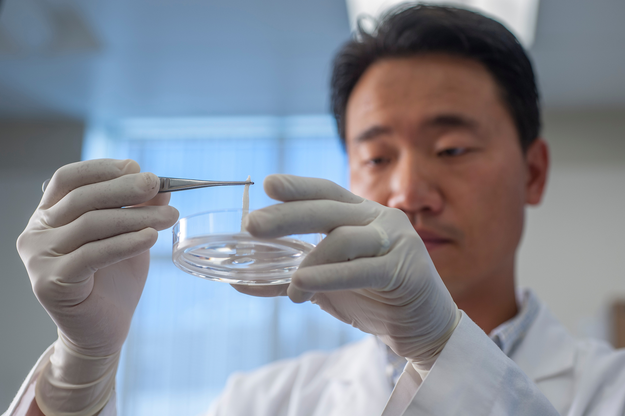 WFIRM, Wake Forest Institute for Regenerative Medicine. Lab technician holding petri dish.